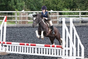 Class 3 -  Fences not above 2'3